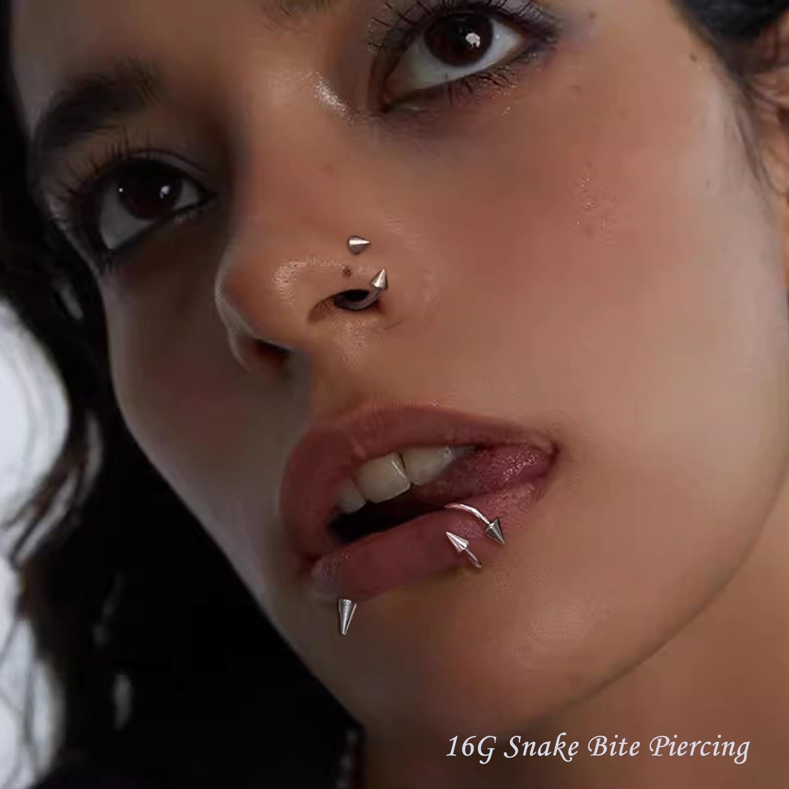 34 adet/takım 16G Yılan Isırığ - Body Jewelry Vertical Labret incelemesi ve fiyatı