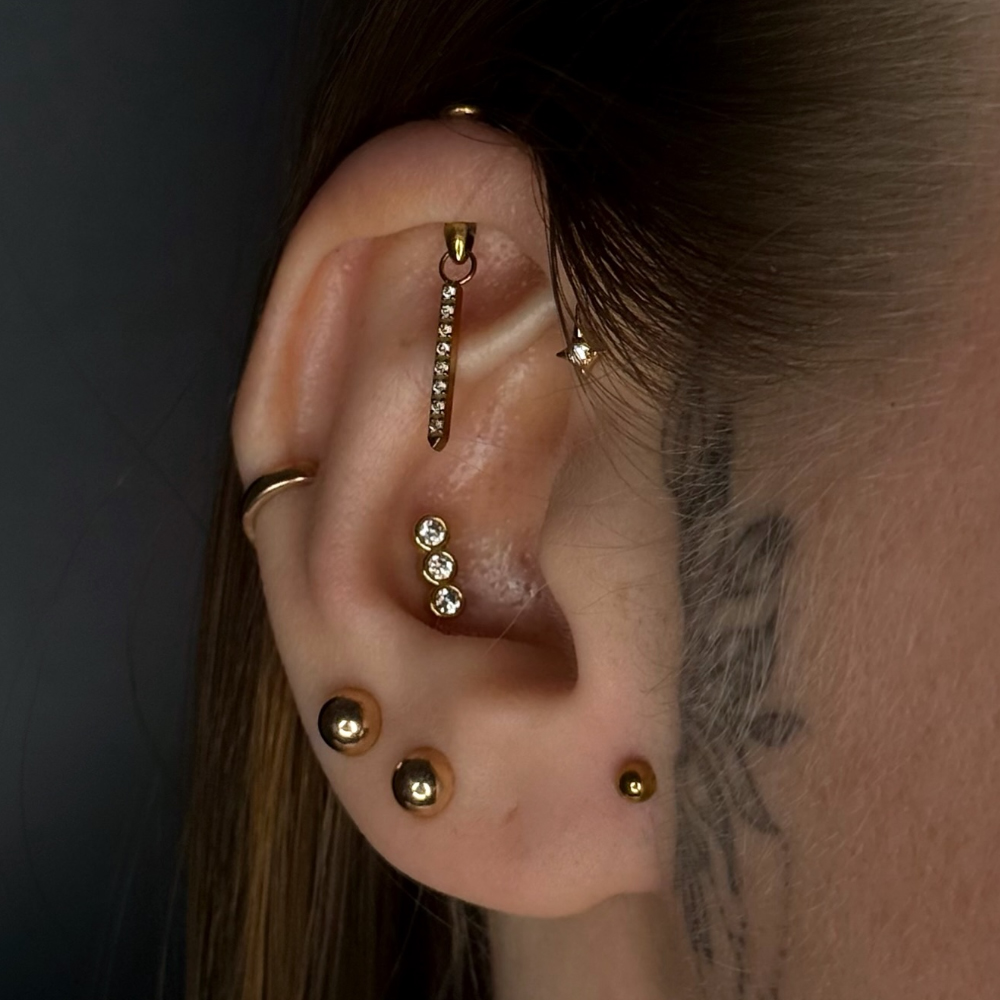 1 adet G23 titanyum gizli dike - Body Jewelry Vertical Labret incelemesi ve fiyatı