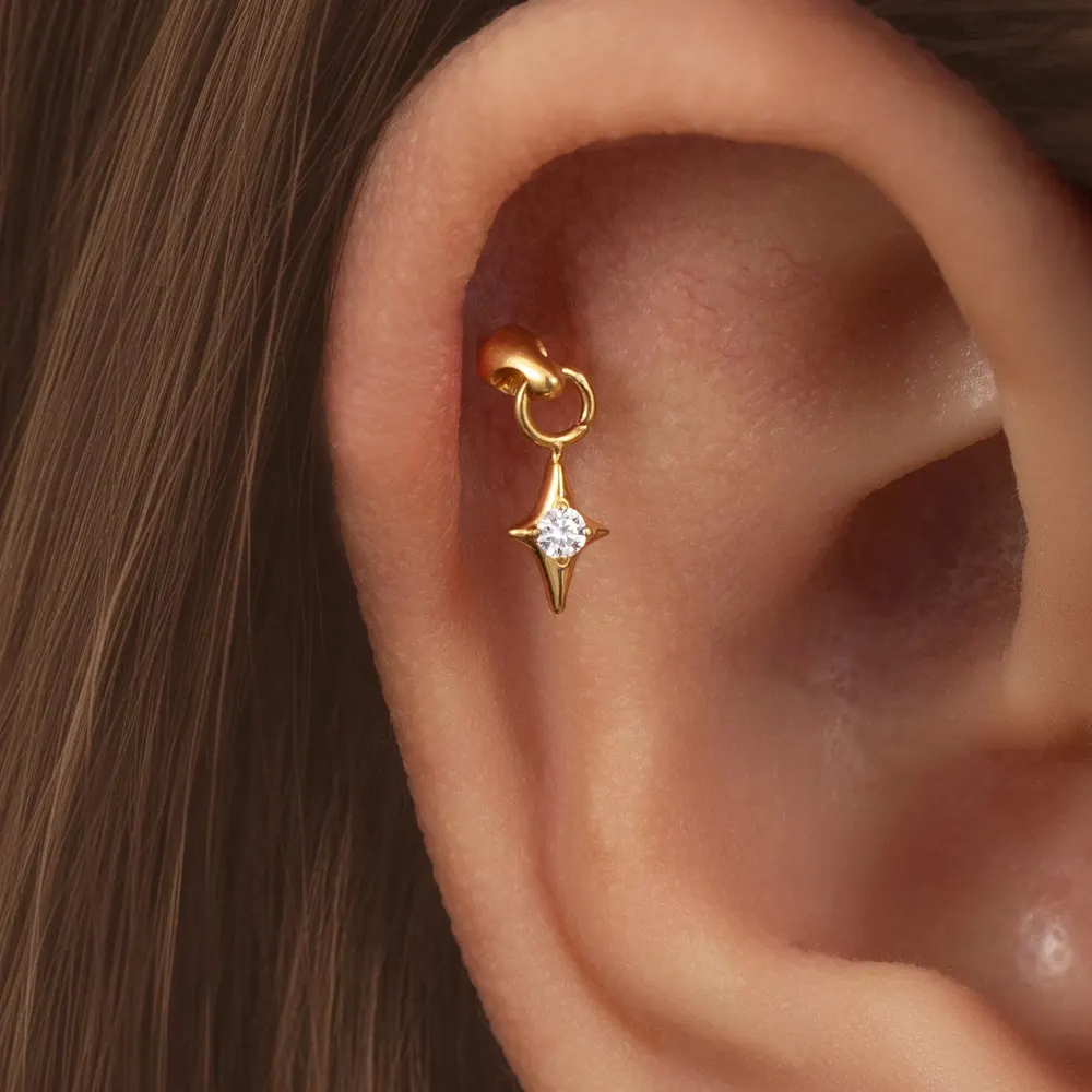 1 adet G23 titanyum gizli dike - Body Jewelry Vertical Labret incelemesi ve fiyatı